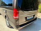 Mercedes V 250 V Klass MARCOPOLO kamper z Niemiec marco polo v250 Westfalia kuchnia - 14