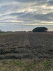 Działka rolna - 3