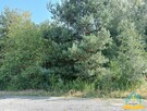 Działka budowlana Krupia Wólka  gm. Prażmów - 3