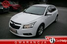 Chevrolet Cruze 1.6b Stan b.dobry bez rdzy i korozji 100%bezwypadkowy Gwarancja 12mcy - 2