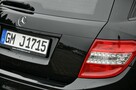 Mercedes C 350 3.0CDI(231KM)*AMG*Duża Navi*Xenon*Led*Skóry*Szyber*El.Fotele*Alu17"ASO - 16