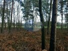 W spokojnej okolicy Działka koło Zielonej Góry - 3
