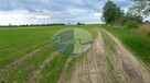 Działka koło Sulechowa - 2