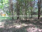 Działka budowlana Osowiec gm. Żabia Wola - 2