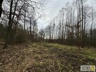Działka budowlana Szczepanów gm. Brzesko - 6