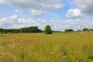 Działka budowlana Zabłudów, - 8