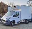 Fiat Ducato Chłodnia 2.3jtd 130PS 2016r Szwajcar !!! - 1