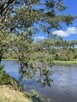 Działka nad rzeką Narew (Szablak). Bezpośrednio. - 4
