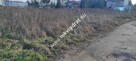 Stare Faszczyce 1199 m2 z WZ. II LINIA ZABUD - 2