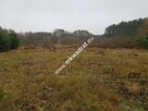 Urokliwa działka przy lesie - 7