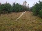 Urokliwa działka przy lesie - 9
