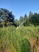 Działka z możliwością podziału świetna lokalizacja - 1