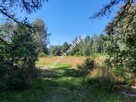 Działka z możliwością podziału świetna lokalizacja - 3