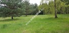 Działka 1236m2 w sąsiedztwie lasu Ojrzanów - 3