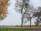 Działka przemysłowa w dobrej lokalizacji - 1