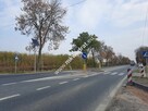 Działka przemysłowa w dobrej lokalizacji - 2