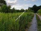 Działka z planem zagospodarowania mkwadrat.eu - 3