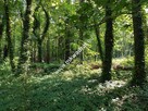 CIEKAWA działka w ścisłym centrum Podkowy L. - 7