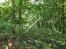 CIEKAWA działka w ścisłym centrum Podkowy L. - 8