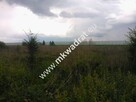 Rewelacja pod inwestycje, blisko A2, dobry kształt - 3