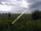 Rewelacja pod inwestycje, blisko A2, dobry kształt - 12