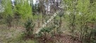 Piękna działka otoczona lasem, Czarny las 2497m2 - 5