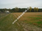 Działki Nowe Mistrzewice 1485m k/Sochaczewa - 2
