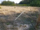działka przy lesie pod dom 2-lokalowy - 5