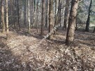 Budowlana 2 lokalowa MNU urocza przy lesie media - 3