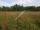 Zadrzewiona 29x52 z MpZP 30%bud Woda Prąd Super! - 5