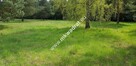 Działka 1352m2 w sąsiedztwie lasu Ojrzanów - 3