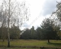 Działka 1352m2 w sąsiedztwie lasu Ojrzanów - 7