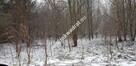 Działka z planem zagospodarowania - 1