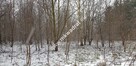 Działka z planem zagospodarowania - 3