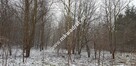 Działka z planem zagospodarowania - 4