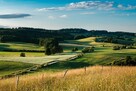 +/+/+/+ KUPIĘ DZIAŁKĘ rolną, budowlaną, las - 3