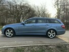 Mercedes E 250 CDI 204 KM ALU 18'' Avantgarde 7 Osób Navi Xenon Skóra Hak PDC SUPER - 3