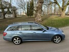 Mercedes E 250 CDI 204 KM ALU 18'' Avantgarde 7 Osób Navi Xenon Skóra Hak PDC SUPER - 12