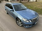 Mercedes E 250 CDI 204 KM ALU 18'' Avantgarde 7 Osób Navi Xenon Skóra Hak PDC SUPER - 14