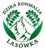 Ferie w Górach? Zieleniec Lasówka www.dzikakonwalia.pl - 4