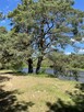 Działka nad rzeką Narew (Szablak). Bezpośrednio. - 7