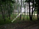 Działka rolna 13 600 m² Żabia Wola - 1