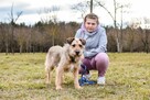 Egir-szorstki strszy psiak czeka na wymarzony do -adopcja - 2