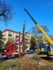 Usługi dźwigiem, żuraw samojezdny, dźwig 30t, 55t, 70t, 90t - 3