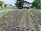 Koszenie trawy. Uslugiglebogryzarka sepracyjna, kosiarka - 6