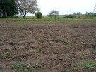 Sprzedam działkę - 2