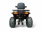 quad 200 250 BERRETA SCREAM AUTOMAT - 3
