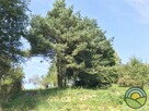 Przybysławice gm. Zielonki - widokowa 20-arowa działka ! - 6