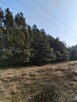Działka Zarośle cienkie - 2