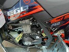 QUAD 250 CC BERRETA EGL MAD MAX 250 - 4
